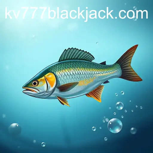 Exploring the Dynamics of Online Fishing with kv777